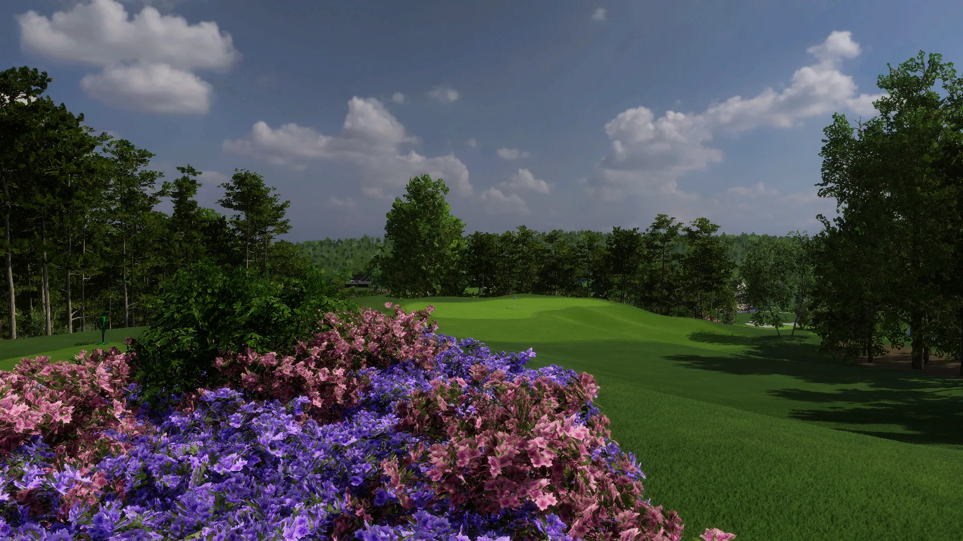 Azalea National Executive