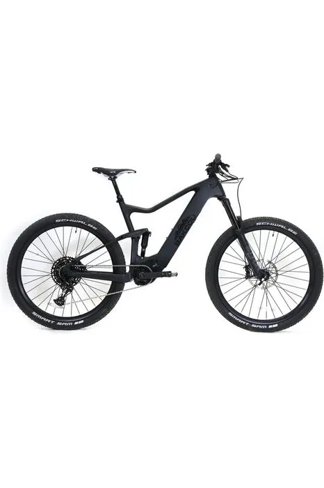 Bakcou Carbon Alpha 500W Mountain Electric Bike