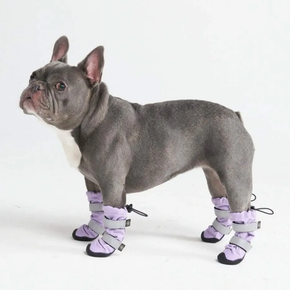 Flex Shell Water-resistant Dog Boots