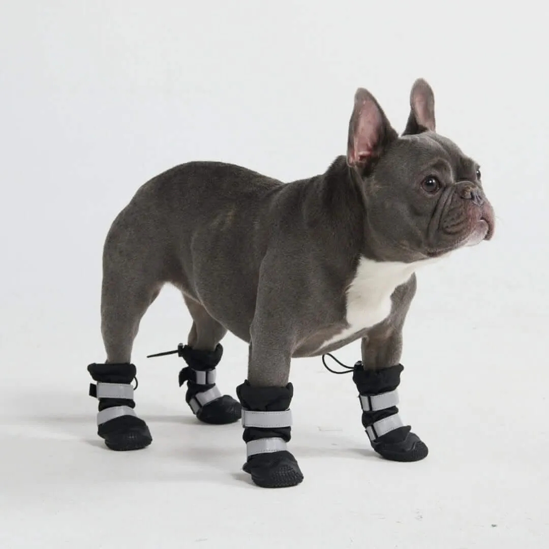 Flex Shell Water-resistant Dog Boots