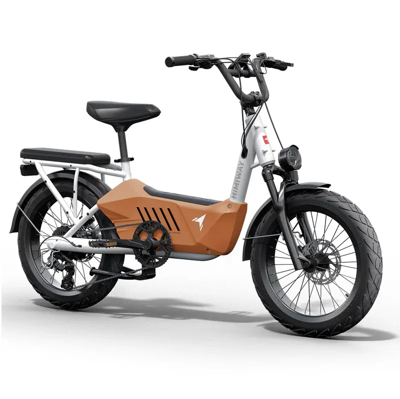 Himiway 750W 48V C3 Cargo Electric Bike