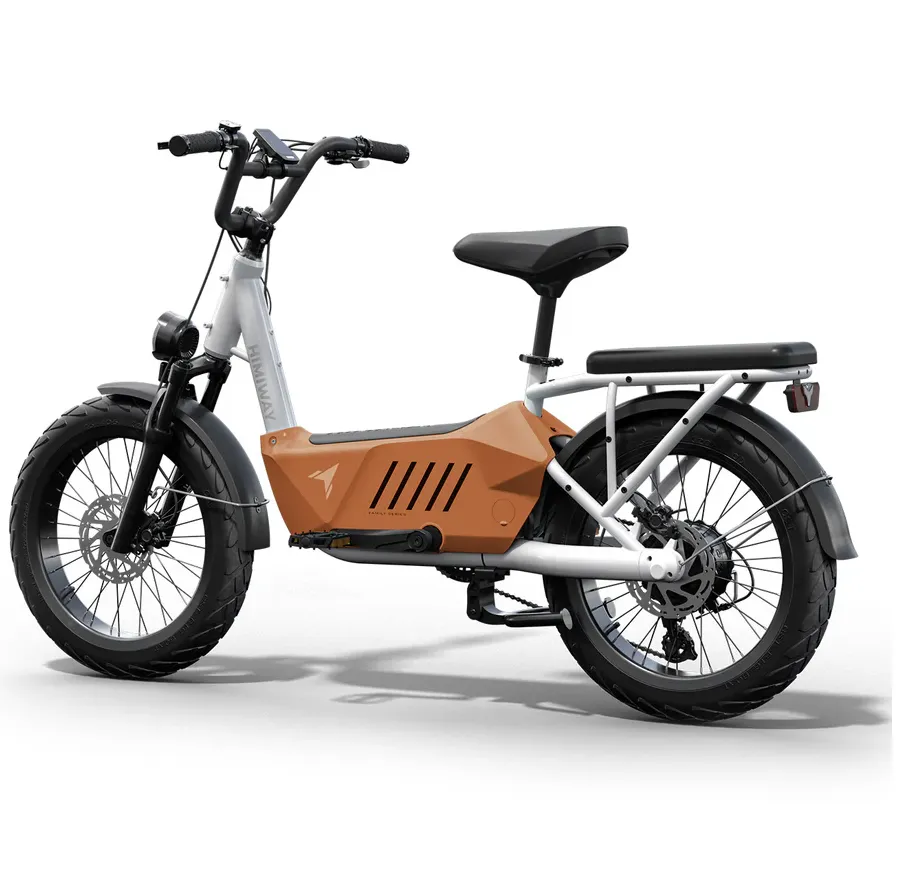 Himiway 750W 48V C3 Cargo Electric Bike