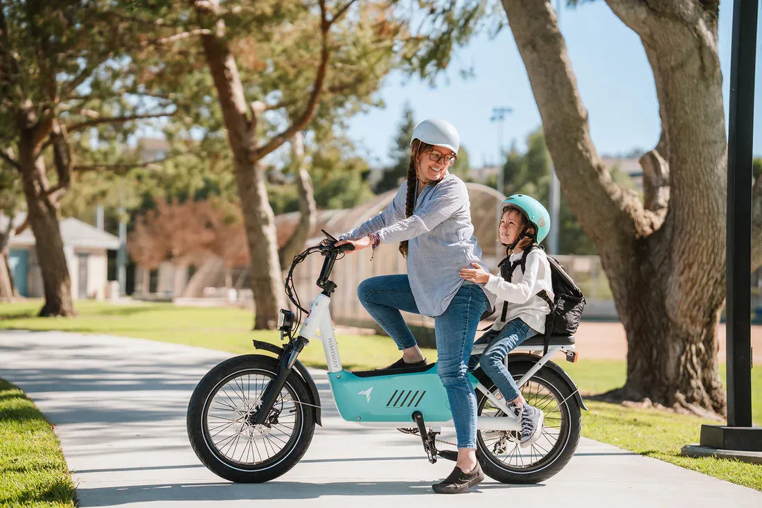 Himiway 750W 48V C3 Cargo Electric Bike