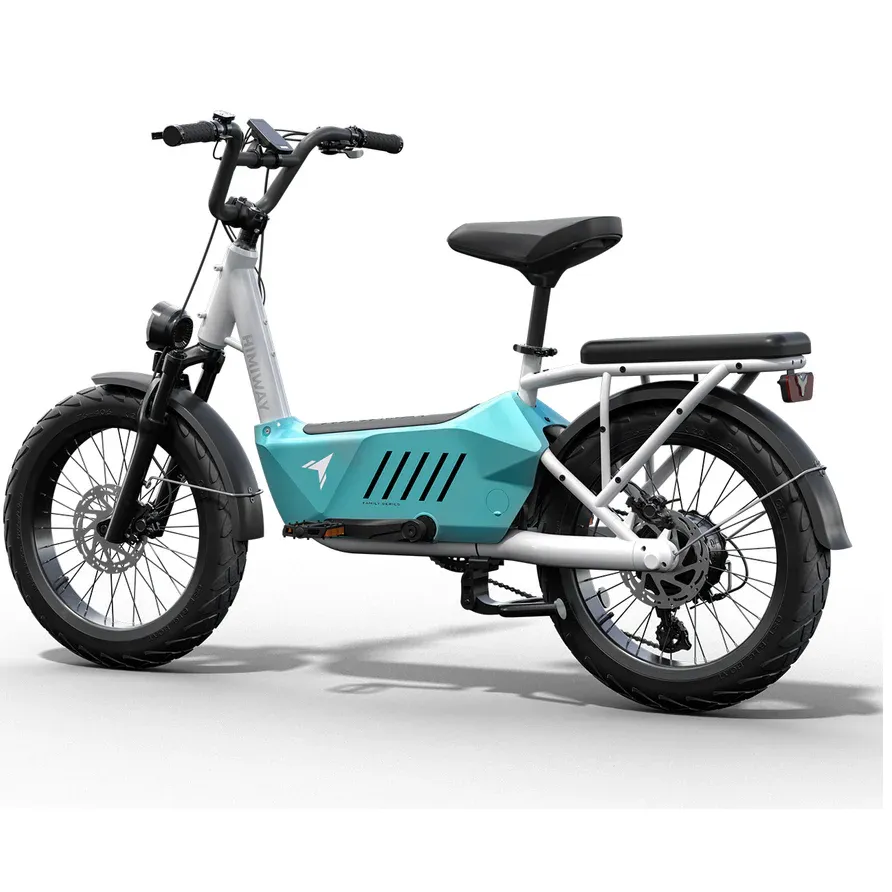 Himiway 750W 48V C3 Cargo Electric Bike