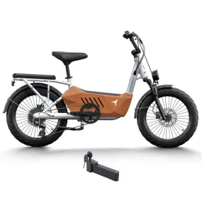 Himiway 750W 48V C3 Cargo Electric Bike