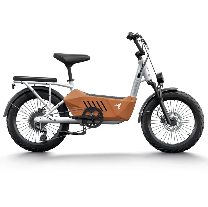 Himiway 750W 48V C3 Cargo Electric Bike