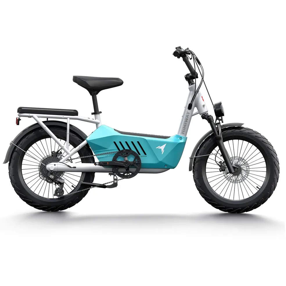 Himiway 750W 48V C3 Cargo Electric Bike