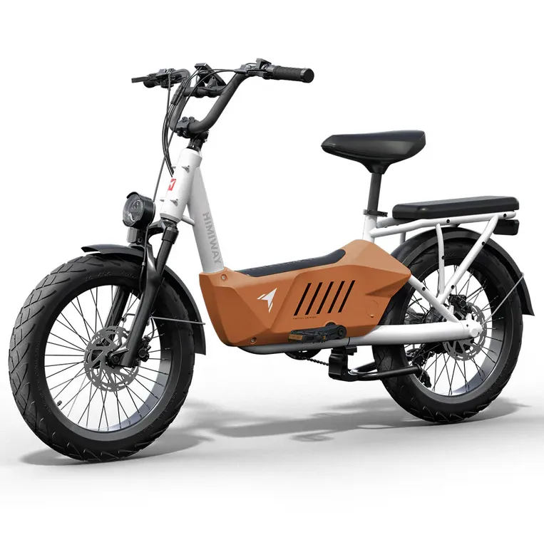 Himiway 750W 48V C3 Cargo Electric Bike