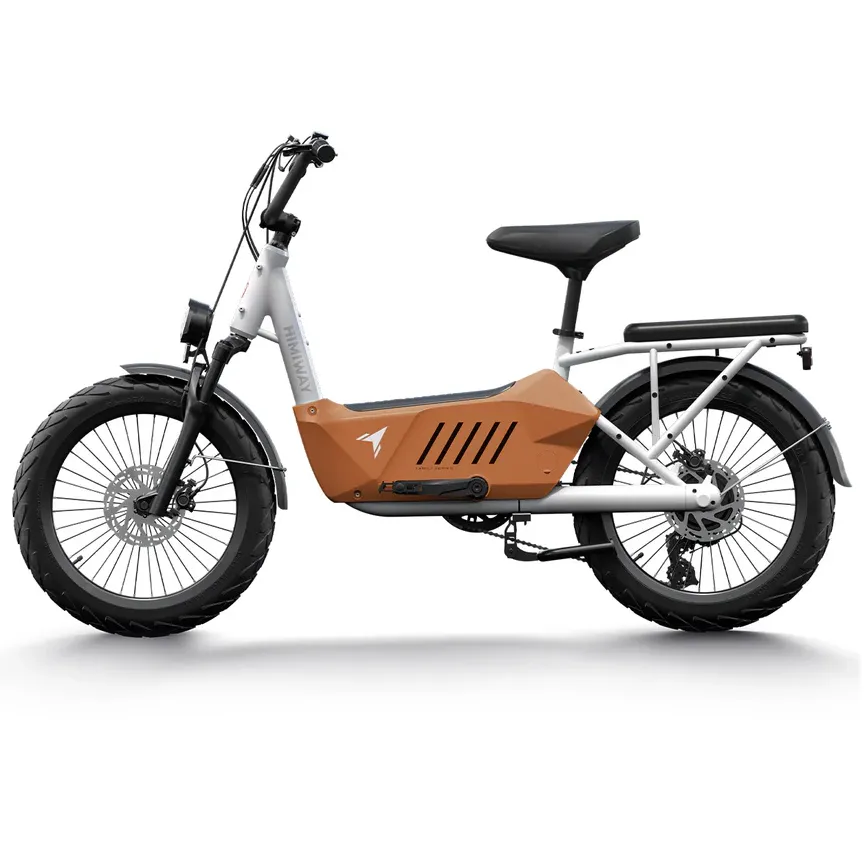 Himiway 750W 48V C3 Cargo Electric Bike